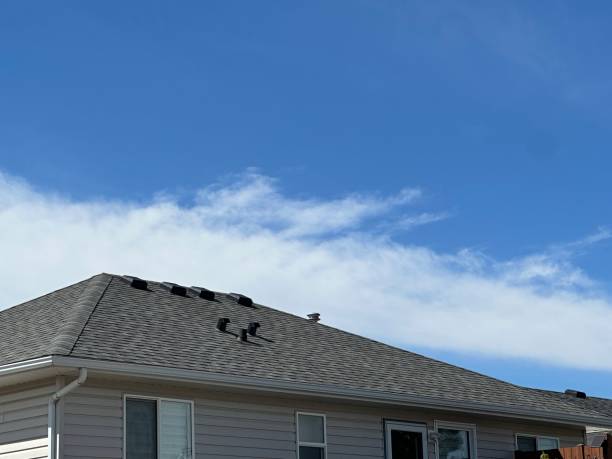 Best Storm Damage Roof Repair  in Prudenville, MI